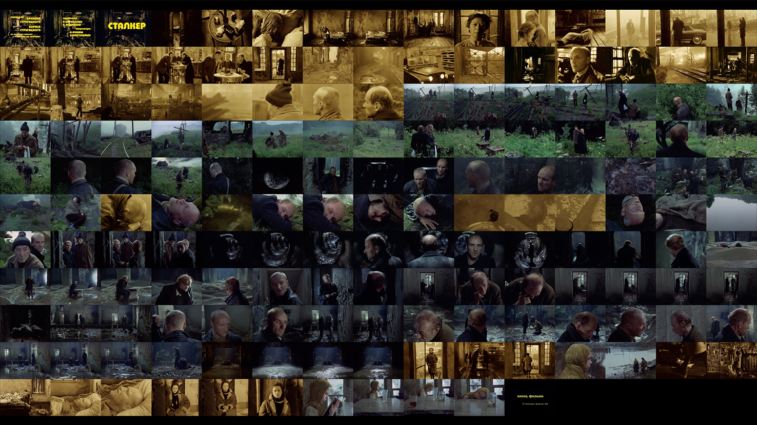 One Minute Stalker, 2022. Video installation, 4K video, stereo sound; 14'00'' (loop), video Still. Sound Sibin Vassilev.